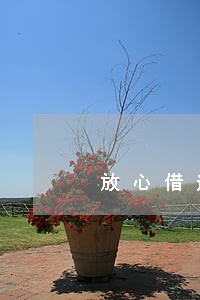 放心借逾期半个小时有影响吗 放心借逾期半个小时有影响吗