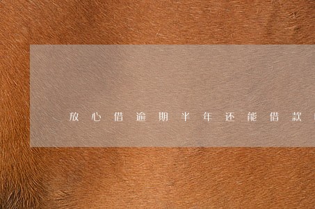 放心借逾期半年还能借款吗 放心借逾期半年还能借款吗