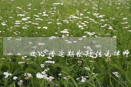 放心借逾期发短信说律师函 放心借逾期发短信说律师函