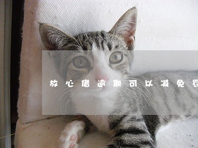 放心借逾期可以减免罚息吗