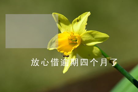 放心借逾期四个月了 放心借逾期四个月了