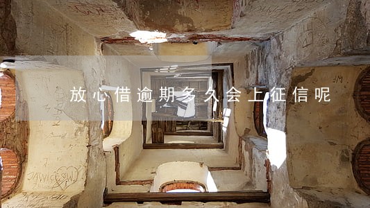 放心借逾期多久会上征信呢 放心借逾期多久会上征信呢