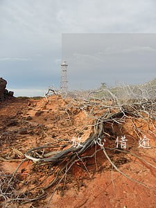 放心借逾期多久会立案 放心借逾期多久会立案