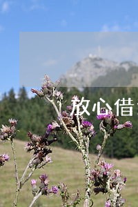 放心借逾期多久成黑户 放心借逾期多久成黑户