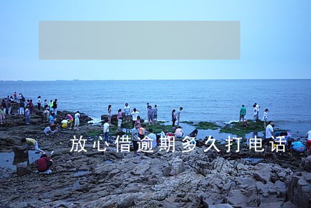 放心借逾期多久打电话