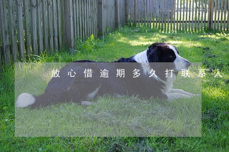 放心借逾期多久打联系人 放心借逾期多久打联系人