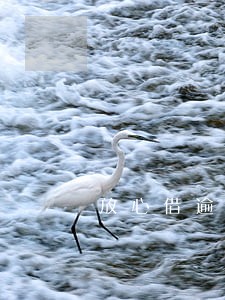 放心借逾期多长时间能立案 放心借逾期多长时间能立案