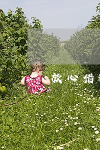 放心借逾期怎么协商 放心借逾期怎么协商