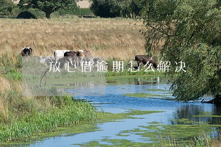 放心借逾期怎么解决