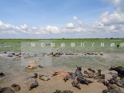 放心借逾期打了我通讯录