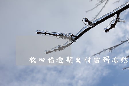 放心借逾期支付密码冻结了 放心借逾期支付密码冻结了
