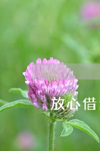 放心借逾期爆通讯录吗 放心借逾期爆通讯录吗