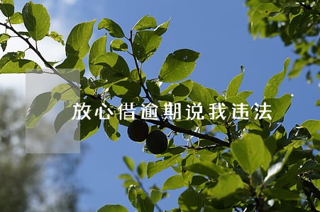 放心借逾期说我违法 放心借逾期说我违法