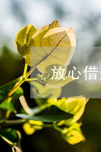 放心借逾期走流程需要几个月 放心借逾期走流程需要几个月