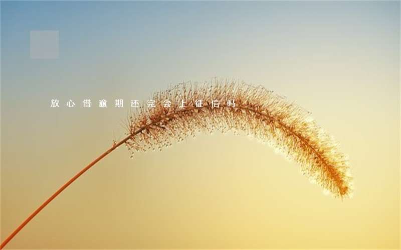 放心借逾期还完会上征信吗 放心借逾期还完会上征信吗