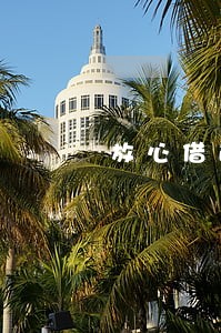 放心借逾期还款冻结 放心借逾期还款冻结