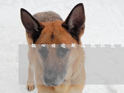 放心借逾期还款红包减免 放心借逾期还款红包减免