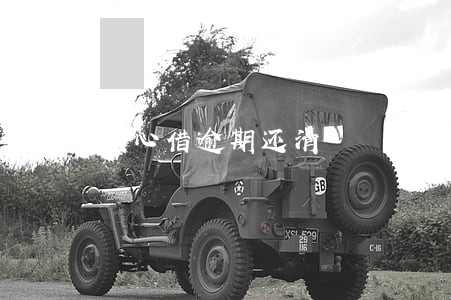 放心借逾期还清