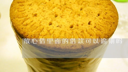 放心借里面的借款可以逾期吗 放心借里面的借款可以逾期吗