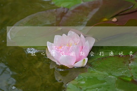 放心借钱逾期会打通讯录吗 放心借钱逾期会打通讯录吗