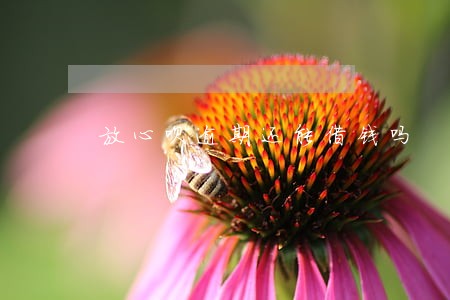 放心呗逾期还能借钱吗