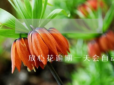 放心花逾期一天会自动扣款吗 放心花逾期一天会自动扣款吗