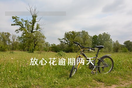 放心花逾期两天 放心花逾期两天