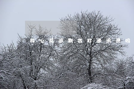 放心花逾期会打通讯录吗 放心花逾期会打通讯录吗