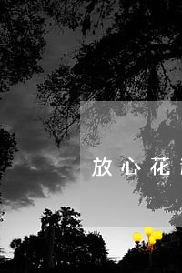 放心花逾期还能借钱吗