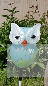 放心购借款逾期会怎么样 放心购借款逾期会怎么样