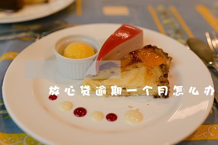 放心贷逾期一个月怎么办 放心贷逾期一个月怎么办