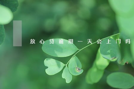 放心贷逾期一天会上门吗 放心贷逾期一天会上门吗