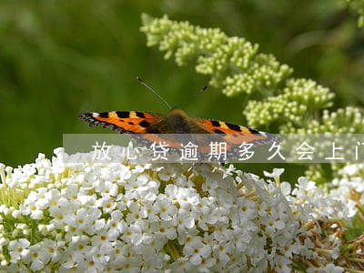 放心贷逾期多久会上门 放心贷逾期多久会上门