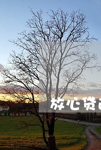 放心贷逾期多少会上门