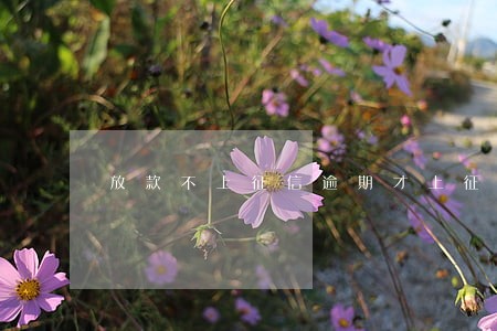 放款不上征信逾期才上征信 放款不上征信逾期才上征信