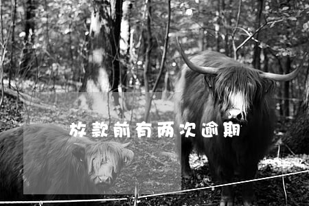 放款前有两次逾期 放款前有两次逾期