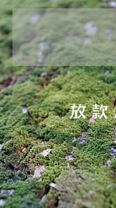 放款后一个星期交楼逾期 放款后一个星期交楼逾期