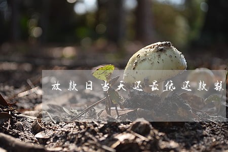 放款日当天还最低还款额算逾期吗 放款日当天还最低还款额算逾期吗