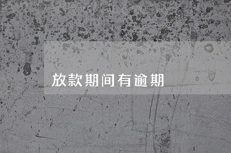 放款期间有逾期 放款期间有逾期