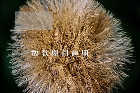 放款期间逾期 放款期间逾期