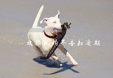 放款机构不告知逾期 放款机构不告知逾期