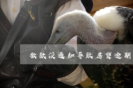 放款没通知导致房贷逾期一次