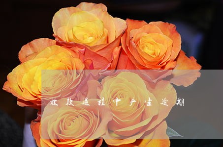 放款过程中产生逾期 放款过程中产生逾期