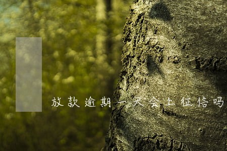 放款逾期一天会上征信吗 放款逾期一天会上征信吗