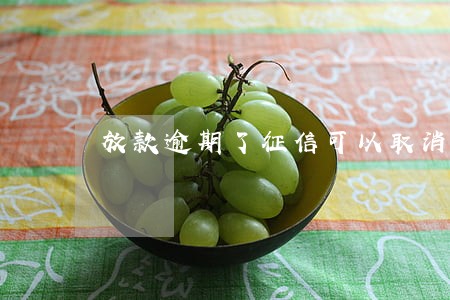 放款逾期了征信可以取消吗 放款逾期了征信可以取消吗