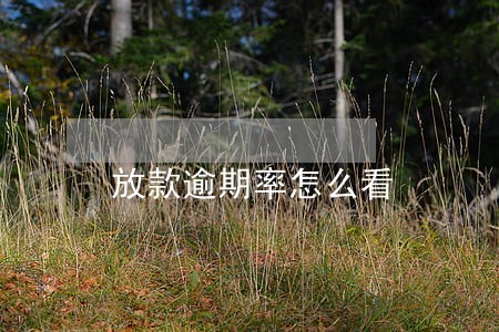 放款逾期率怎么看 放款逾期率怎么看