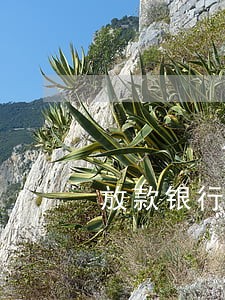 放款银行的逾期标准 放款银行的逾期标准