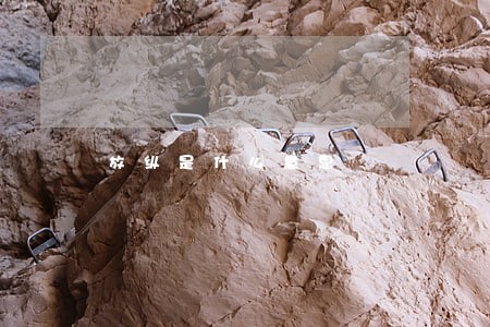放纵是什么意思 放纵是什么意思
