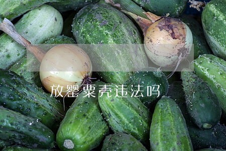 放罂粟壳违法吗 放罂粟壳违法吗