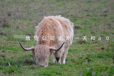 放贷公司逾期一天扣300块 放贷公司逾期一天扣300块